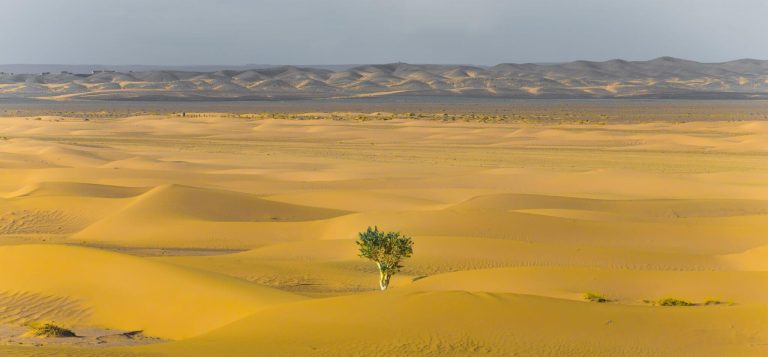 Une nouvelle résilience pour un effet cascade global